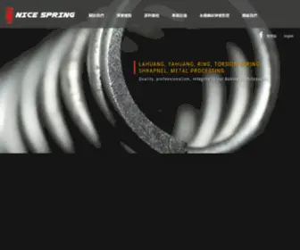 Nicespring.com.tw(精密彈簧) Screenshot