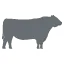 Nicetomeat.nl Favicon