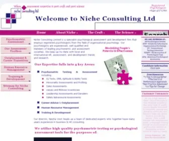 Nicheconsulting.co.nz(Niche Consulting Limited) Screenshot