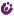 Nicheo.mx Favicon