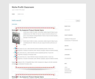 Nichetoprofit.com(Niche Profit Classroom) Screenshot