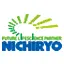 Nichiryochina.com Favicon