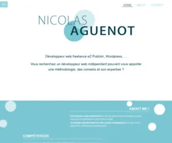 Nicolasaguenot.com(Développeur freelance eZ Publish) Screenshot