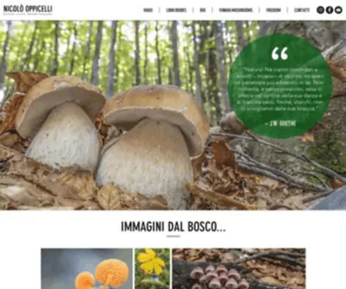 Nicolooppicelli.com(Nicolò) Screenshot