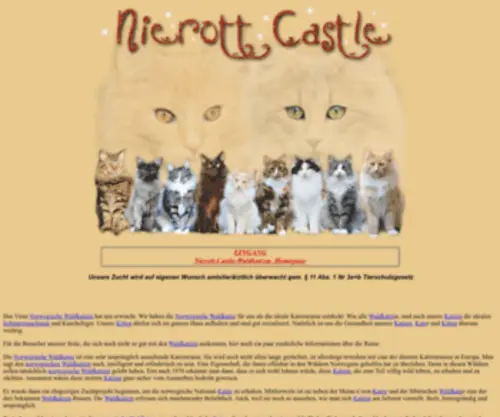 Nierott-Castle.de(Norwegische Waldkatzen of Nierott) Screenshot