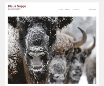 Nigge.com(Klaus Nigge Photography) Screenshot