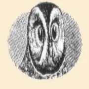 Nightowllures.com Favicon