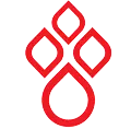 Nihbt.org.vn Logo