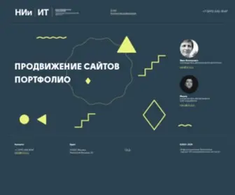 Nii-IT.ru(Продвижение) Screenshot