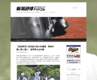 Niigatayakyu.com(新潟野球ドットコム) Screenshot