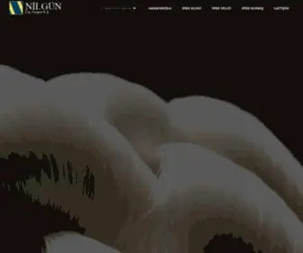 Niltex.com(İpek İpliği) Screenshot