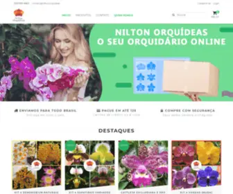 Niltonorquideas.com.br(Orquídeas) Screenshot