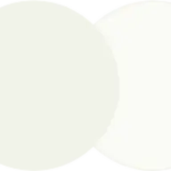 Nimarestudio.com Favicon