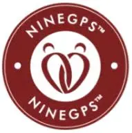 Ninegps.com Favicon