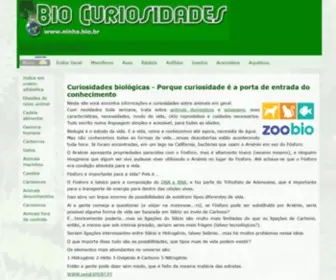 Ninha.bio.br(Cérebro) Screenshot