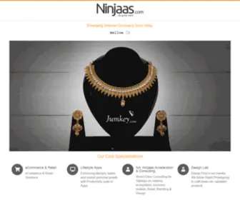 Ninjaas.com(Ninjaas Internet) Screenshot