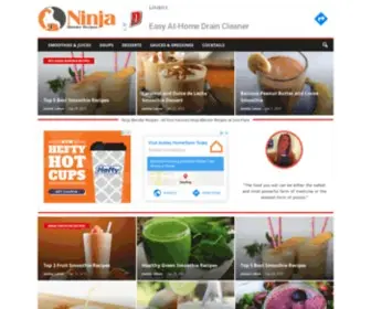 Ninjablenderrecipes.net(Ninja Blender Recipes) Screenshot