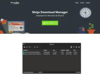 Ninjadownloadmanager.com(Ninja Internet Download Manager) Screenshot