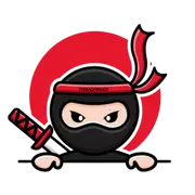 Ninjaspinner.com Favicon