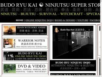 Ninjutsusuperstore.com(Ninja) Screenshot