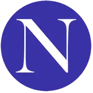 Ninkevanderleck.nl Logo