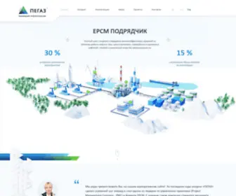 Nipi-Pegaz.ru(НИПИ «ПЕГАЗ») Screenshot