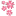 Nipponshop.net Favicon