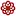 Nirundaclinic.com Favicon