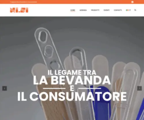 Nisisrl.com(La Paletta) Screenshot