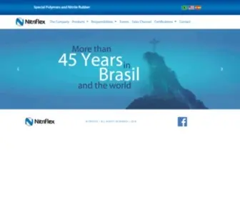 Nitriflex.com.br(Polímeros Especiais e Borrachas Nitrílicas) Screenshot