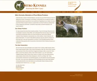 Nitrokennels.com(Elhew Pointers at Nitro Kennels) Screenshot