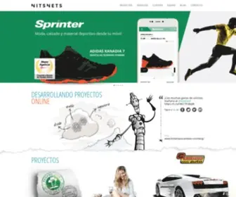 Nitsnets.com(Diseño web) Screenshot