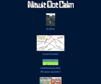 Nitwit.com(Nitwit Dot Calm Home) Screenshot