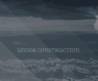 Niw-Usa.com(NIW USA) Screenshot