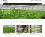 Niyyagroup.com Screenshot