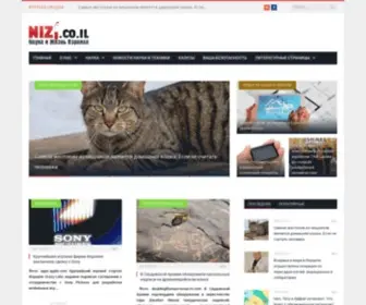 Nizinew.co.il(Русскоязычный интернет) Screenshot