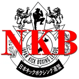 NKB-R.com Favicon