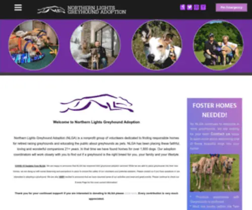 Nlgamn.org(Northern Lights Greyhound Adoption) Screenshot