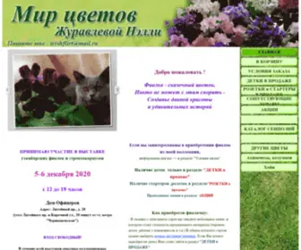 NN-Fialka.ru(МИР ЦВЕТОВ Журавлевой Нэлли) Screenshot