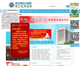 NN5YY.com(南宁市第五人民医院) Screenshot