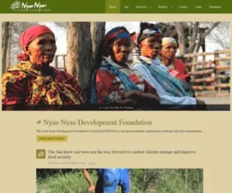 NNDFN.org(Nyae Nyae Development Foundation) Screenshot