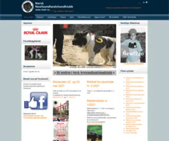 NNK-Newf.com(Norsk Newfoundlandshundklubb) Screenshot