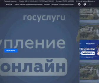 NNsaa.ru(НГСХА) Screenshot