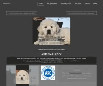 Noblegoldens.com(Golden Retriever Puppies) Screenshot