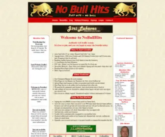 Nobullhits.com(Web Traffic System) Screenshot