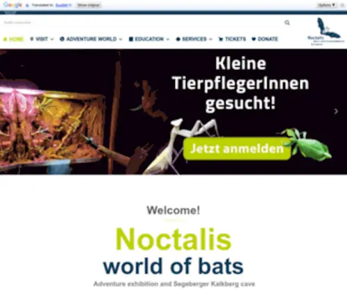 Noctalis.de(Fledermaus-Fans aufgepasst) Screenshot