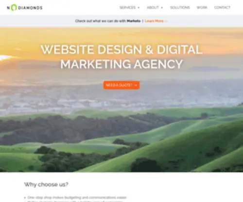 Nodiamonds.com(NoDiamonds Digital Marketing Agency) Screenshot