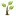 Noelryantreesurgeon.ie Favicon