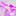 Nogizaka46.net Favicon