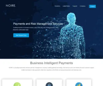 Noirepay.com(Multi Channel Payments Service Provider) Screenshot